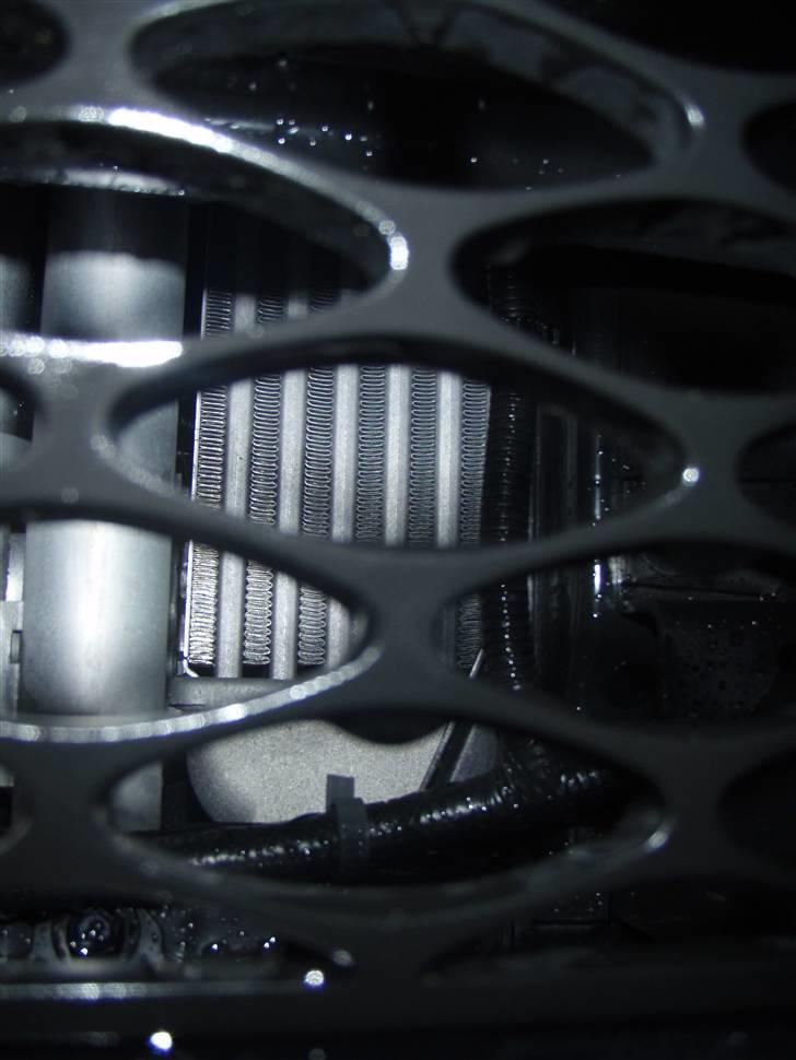 Kia pro-cee'd Sport - Bag det nederste gitter i forkofangeren kan man lige se den lodrette intercooler billede 7