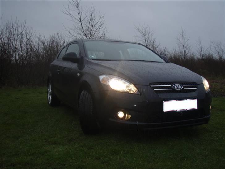 Kia pro-cee'd Sport billede 9