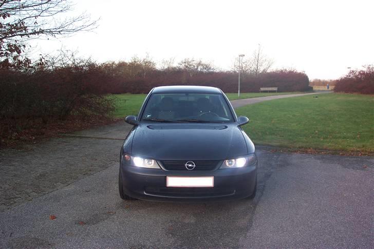 Opel Vectra - lige fået xenon billede 1