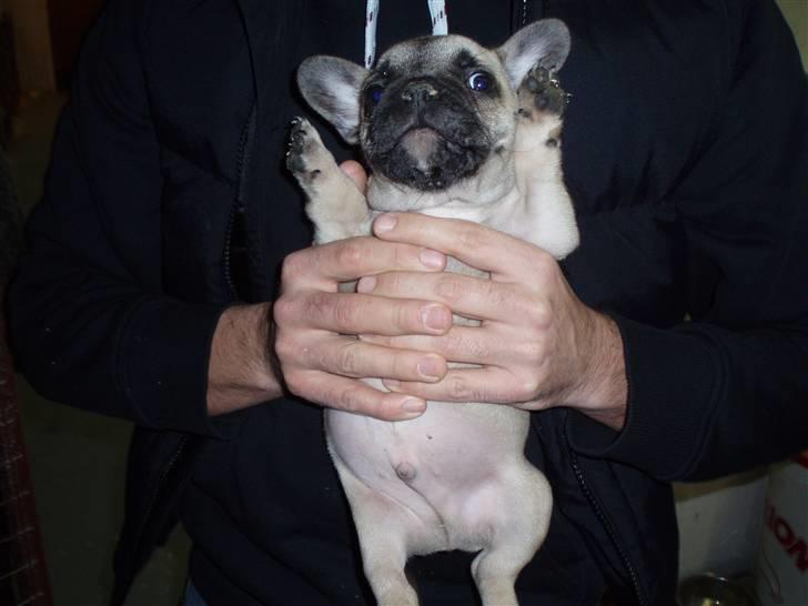 VW Golf IV 2,8 V6 4M (solgt) billede 8