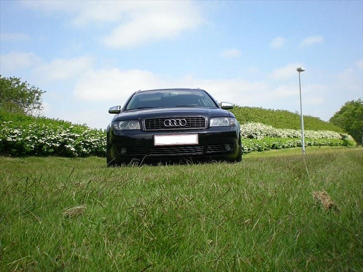 Audi A4 Avant billede 8
