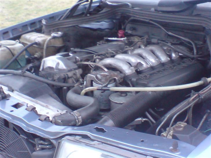 Mercedes Benz E-klasse W124 250D-SOLGT- billede 8