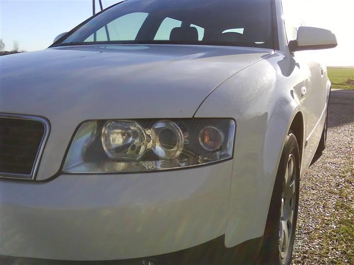 Audi A4 **White Light** billede 1