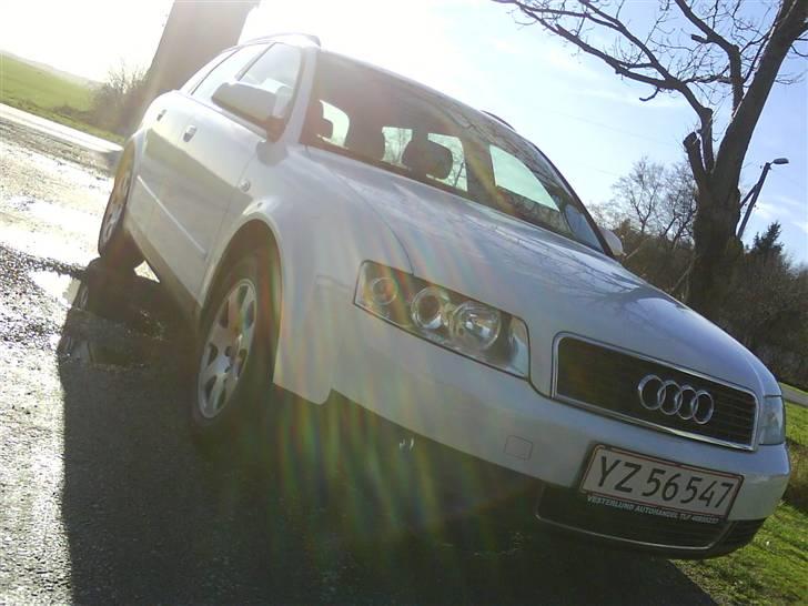 Audi A4 **White Light** billede 2