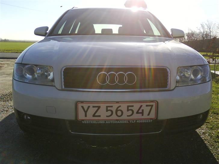 Audi A4 **White Light** billede 5