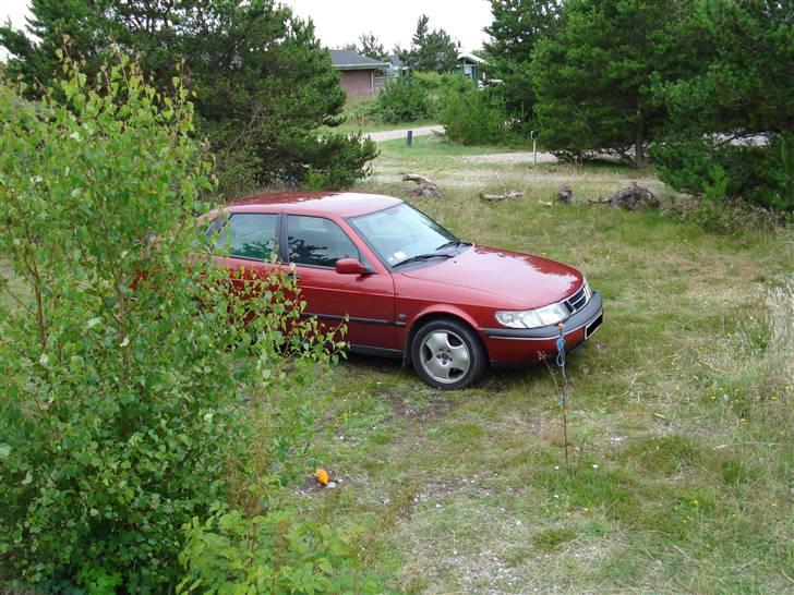 Saab 900 SE Turbo billede 10