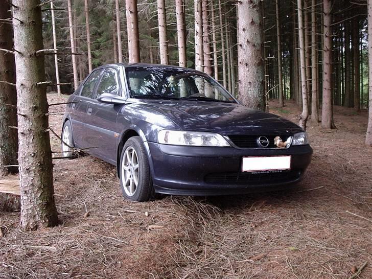 Opel vectra B hatchback billede 3