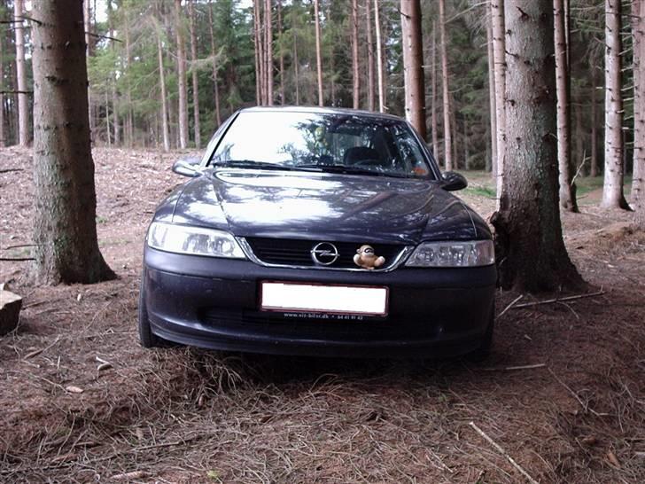 Opel vectra B hatchback billede 7