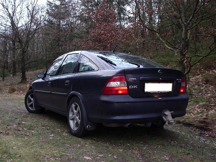 Opel vectra B hatchback billede 8