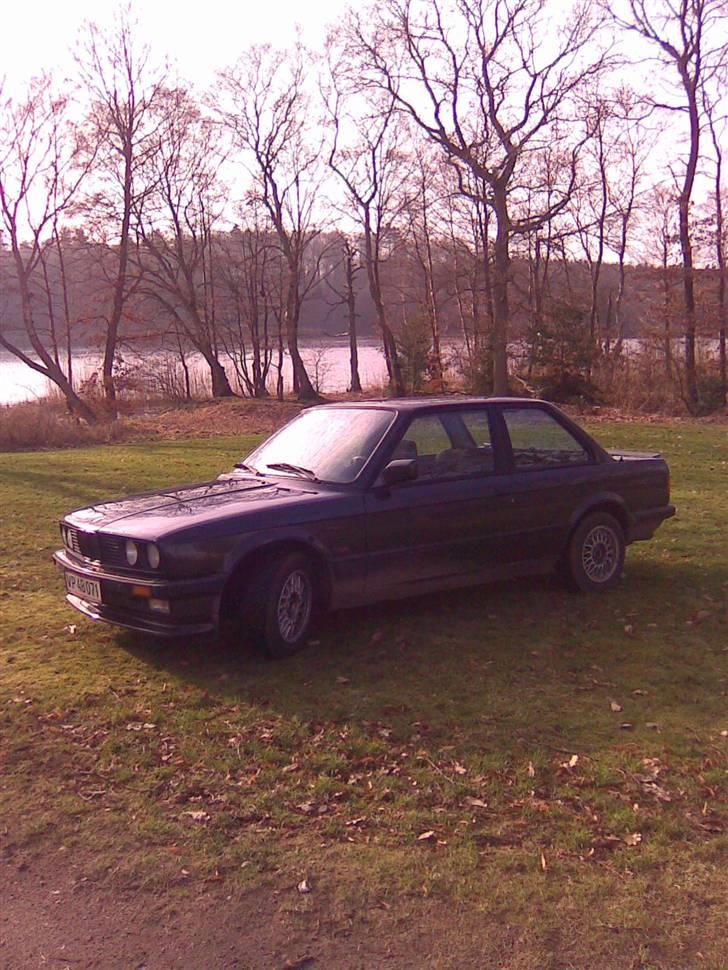 BMW 320 i e30 SOLGT billede 2