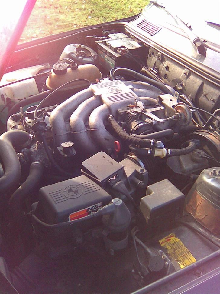 BMW 320 i e30 SOLGT billede 7