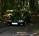 BMW E36 2.5 ROTREX*solgt*