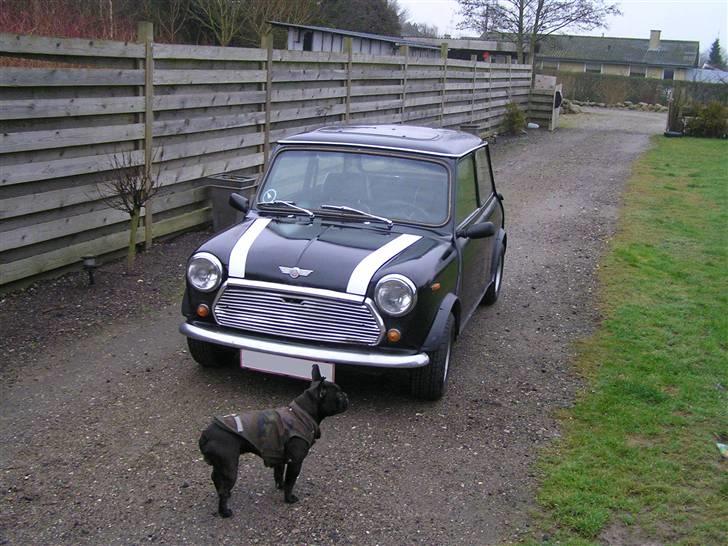 Austin-Morris Mascot 1000 Solgt billede 11