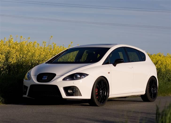 Seat Leon Cupra billede 1