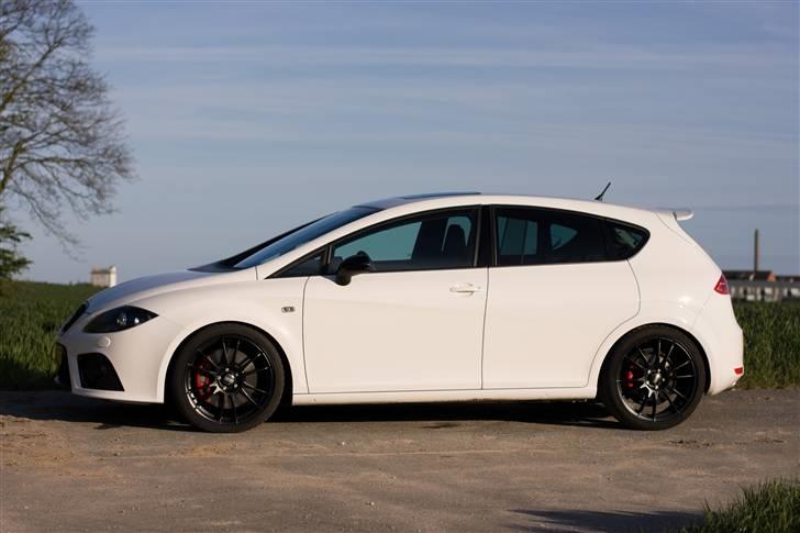 Seat Leon Cupra billede 2