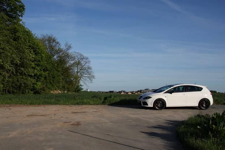 Seat Leon Cupra billede 3