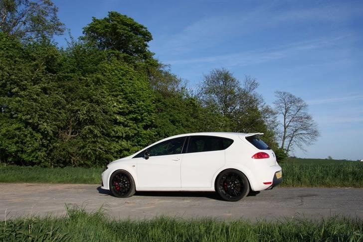 Seat Leon Cupra billede 4