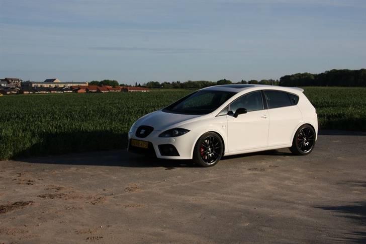 Seat Leon Cupra billede 7