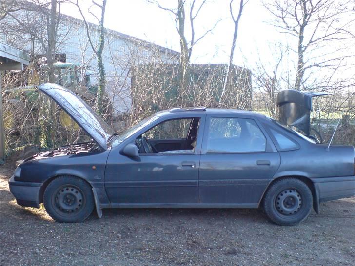 Opel Vectra A ( Ophug )  - MIn Vectra  billede 1