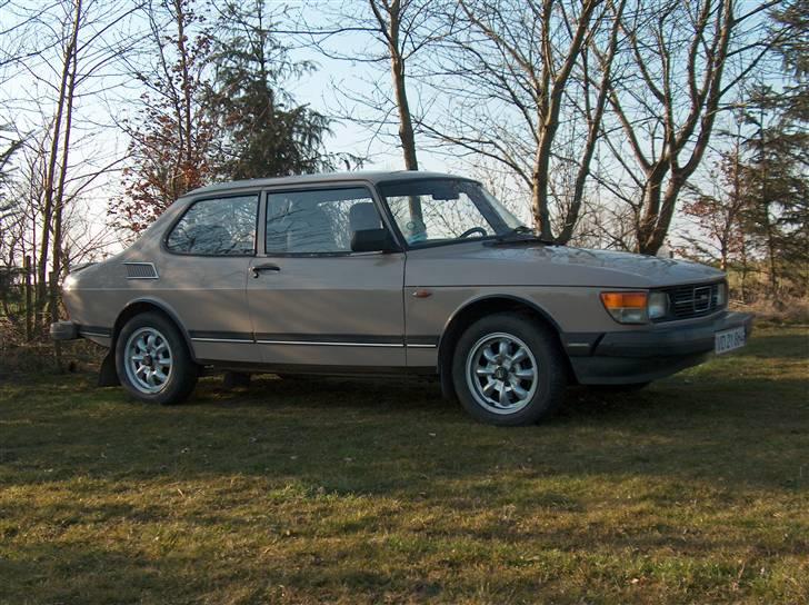 Saab 99 gl - nu på græs billede 15