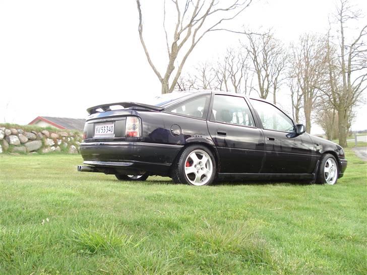 Opel Vectra gt "Betty" (SOLGT) - sikke da en skønhed :D billede 2