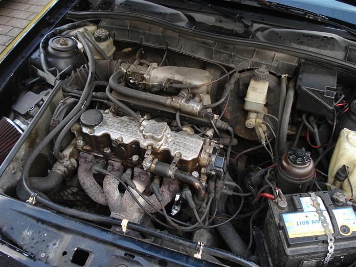 Opel Vectra gt "Betty" (SOLGT) - så lidt af alle hestene.. ike så flot nu, men det kommer!! :) billede 9