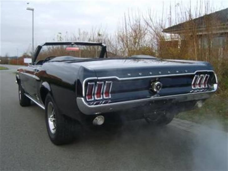 Ford Mustang - Wruum billede 4
