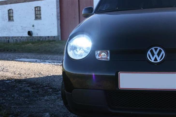 VW Lupo 1,2 TDI 3L - Mmm .. <3 Xenon .. :D billede 6