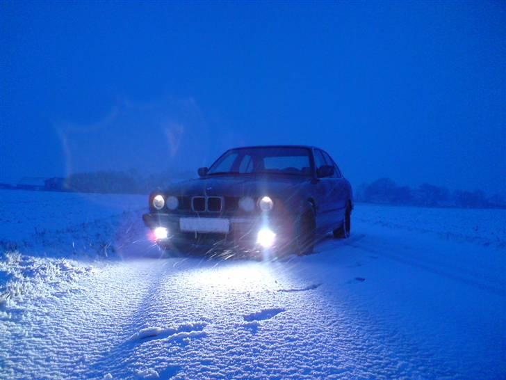 BMW 530i aut e34 billede 10