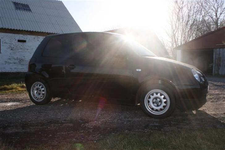 VW Lupo 1,2 TDI 3L - Min sol stråle .. :) billede 11