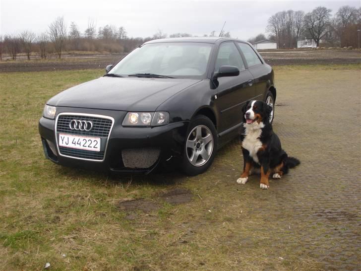 Audi A3 SOLGT billede 6