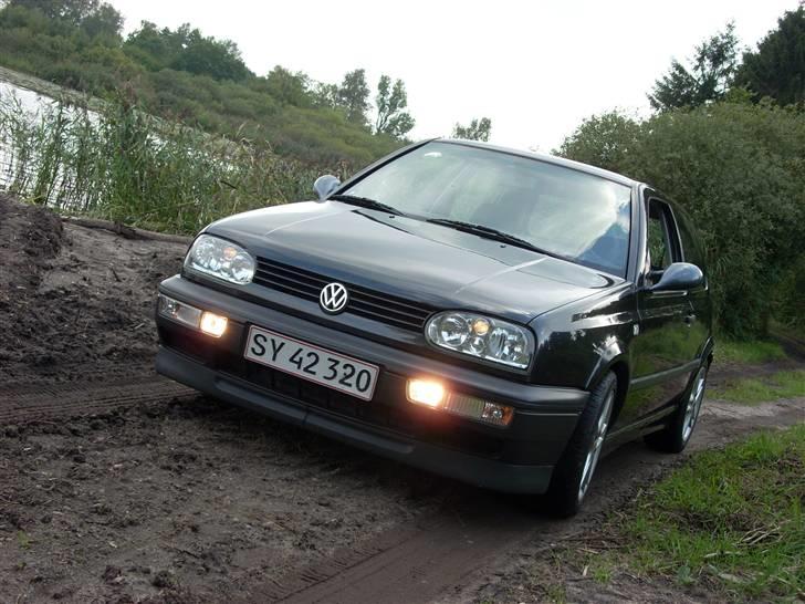 VW            Golf 3 [SOLGT] billede 1
