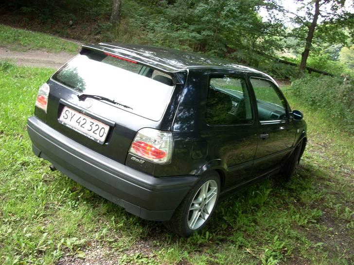 VW            Golf 3 [SOLGT] billede 6
