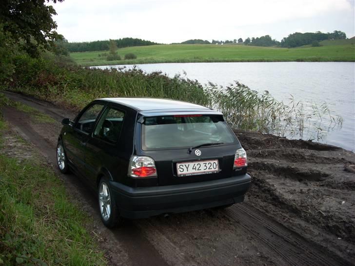 VW            Golf 3 [SOLGT] billede 11