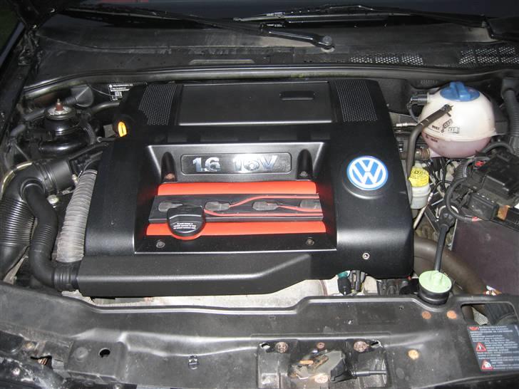 VW Polo Gti limited edition billede 2