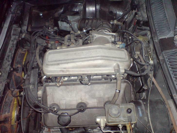 Alfa Romeo GTV-6 under opbygning Solgt billede 5