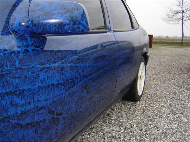 Opel Vectra A ¤The demon¤ DØD - Her er vidunderet... Den nymalet Vectra.... billede 1