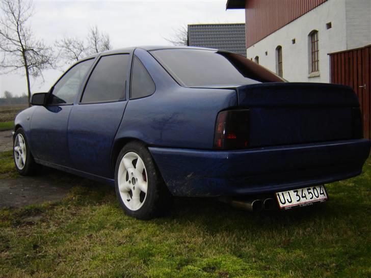 Opel Vectra A ¤The demon¤ DØD - Bagdøren skal lige justeres lidt ind... Men syntes det er et godt billede...! billede 2