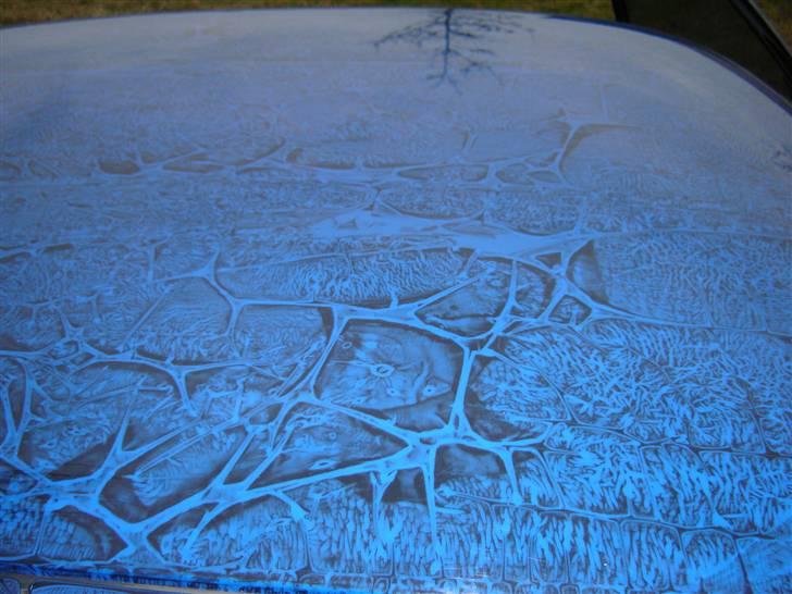 Opel Vectra A ¤The demon¤ DØD - Lakken på tæt hold.... Hvad syntes i så...? billede 6