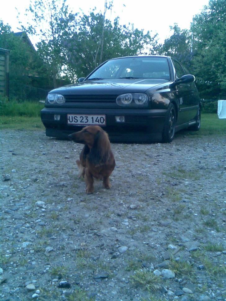 VW Golf l l l SOLGT billede 3