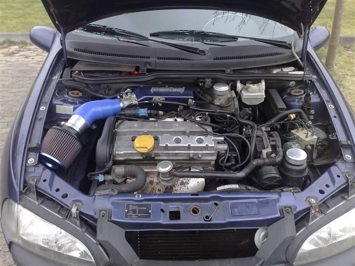 Opel Tigra billede 13