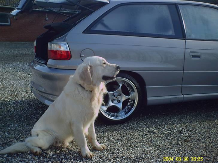 Opel Astra Gsi 16v Turbo solgt - vagthunden :-) billede 9