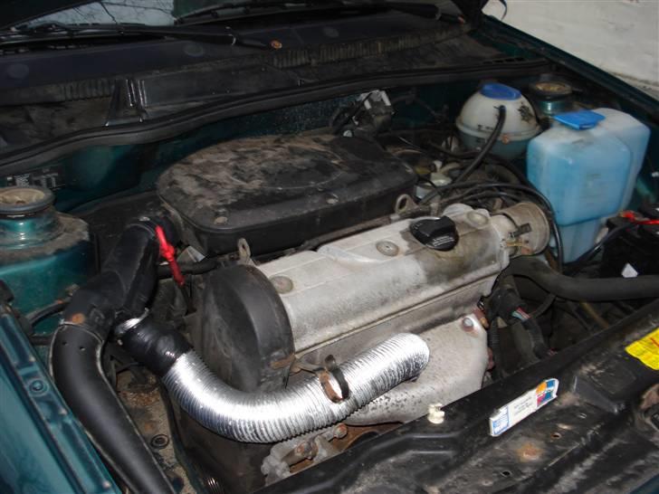 Seat cordoba billede 5