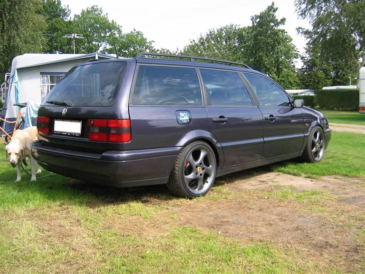 VW Passat VR6 - min dovne hund kom lige med på billedet  billede 4