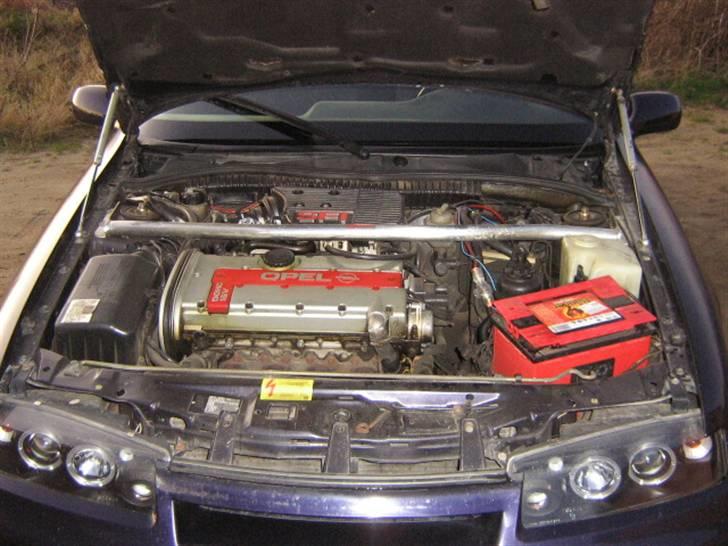 Opel calibra  billede 9