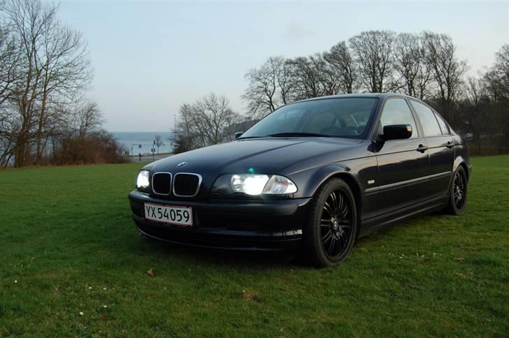 BMW E46 (SOLGT) billede 2