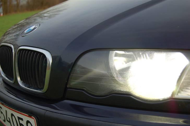 BMW E46 (SOLGT) billede 8