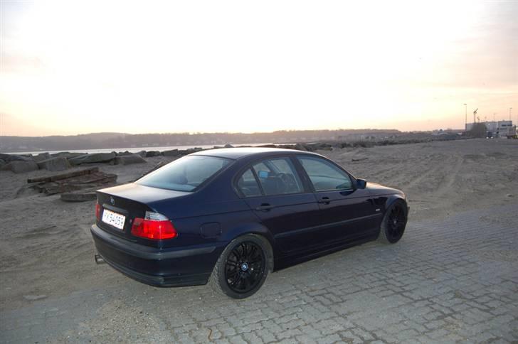 BMW E46 (SOLGT) billede 17