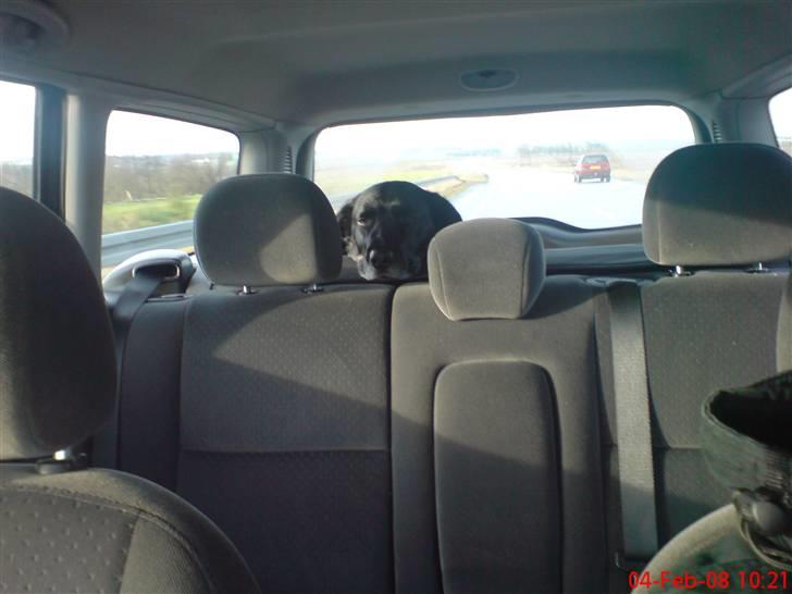 Ford Focus 1,8 TDCi GHIA stc. - Der skal følges med i hvad der sker... billede 12