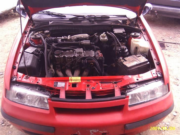 Opel calibra billede 10